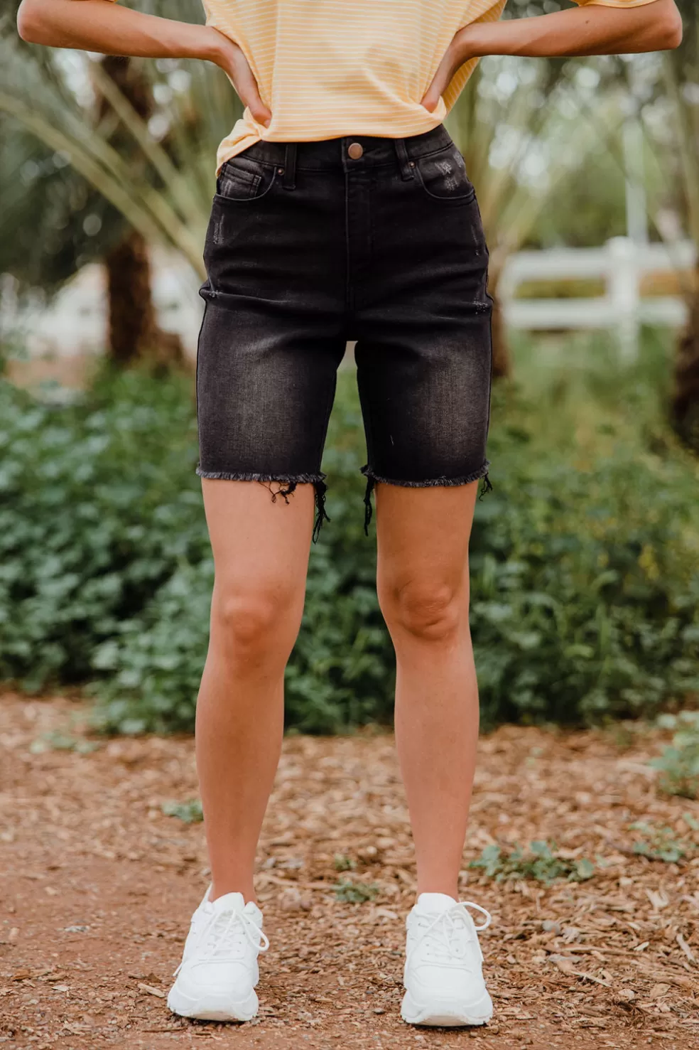 Shorts | Risen Sequoia Bermuda Shorts-Black